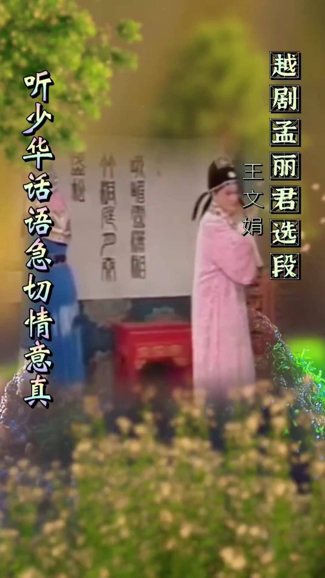 越剧《孟丽君》选段,王文娟演唱,"听少华话语急切情意真",越剧 孟丽君