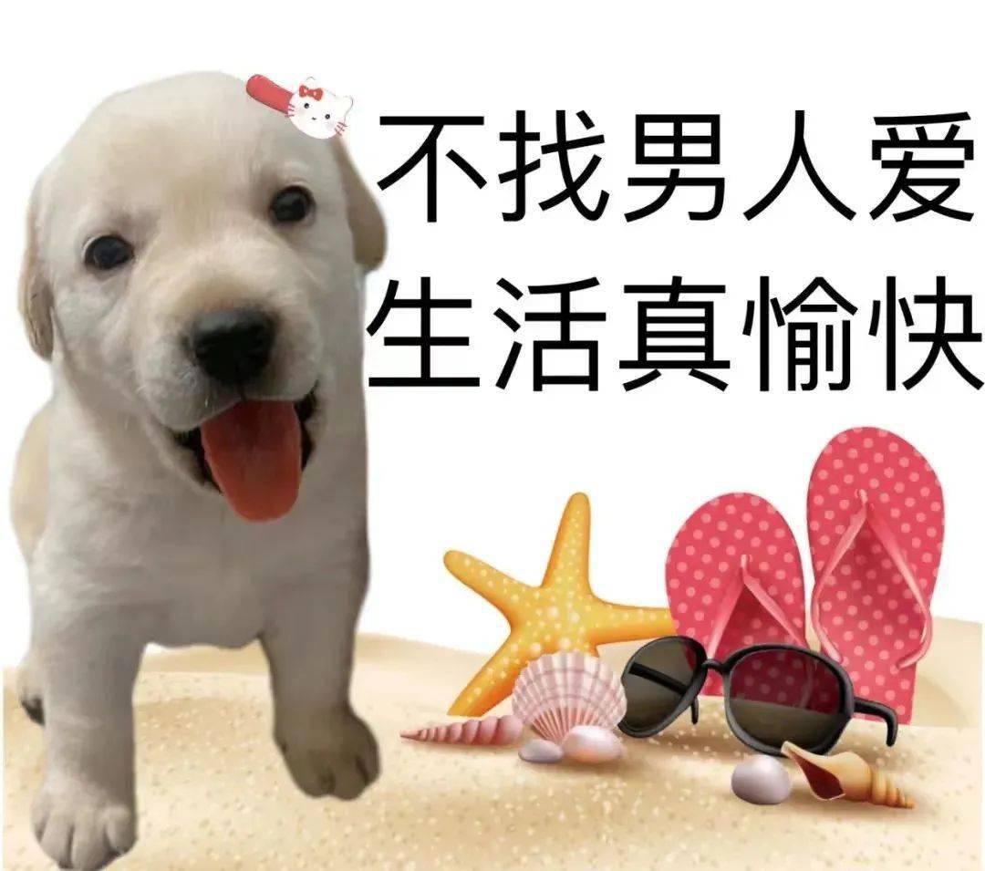抖音热门表情包:没钱只能吃吃草_生活_时候_熊猫头