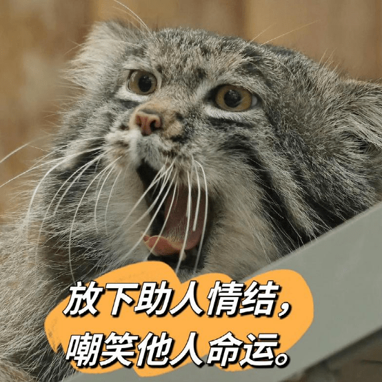 你很好糊弄,你的所有要求,我本来愿意付出的,你自己天天玩狼来了,只看