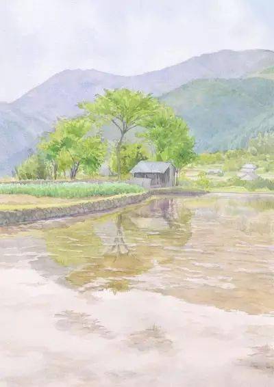 长谷川隆水彩画图片