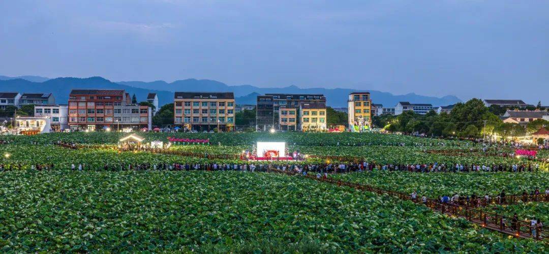 温岭市石桥头镇以微改精提助力强村富民_农文旅_赏荷_荷塘