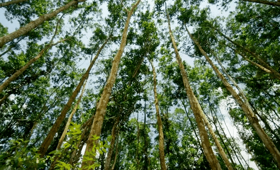 董伟伟:一张纸的旅行_日照市_世界_亚太