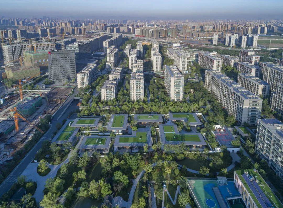 定了！杭州将推进未来社区全域覆盖_建设_全市_基本