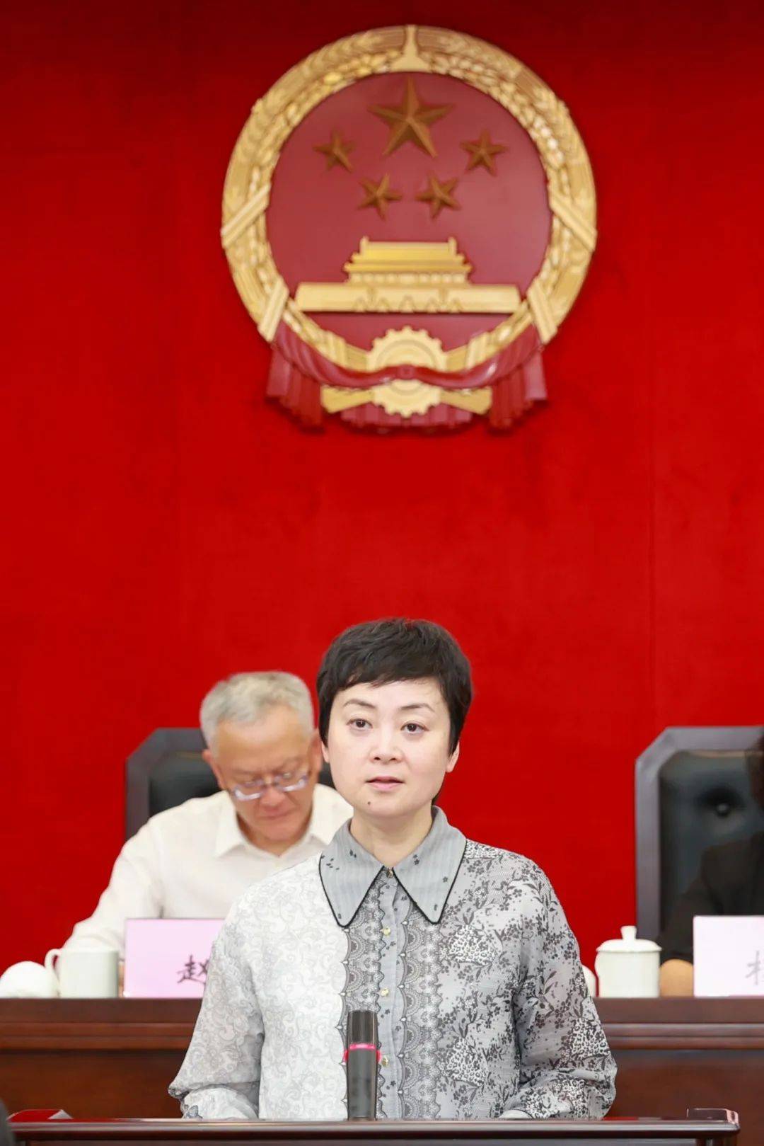 王靖任上海松江区副区长,代理区长_工作_政府_谋发展