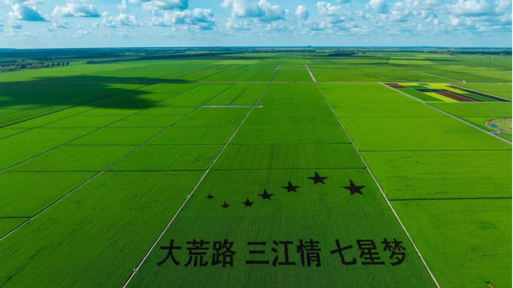 跟着镜头游龙江|昔日北大荒 今日大仓粮_农业_七星农场_科技园区