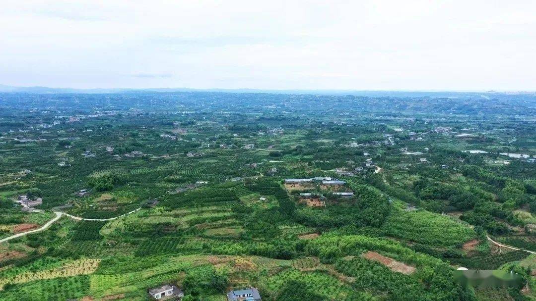 青神县西龙建机场图片