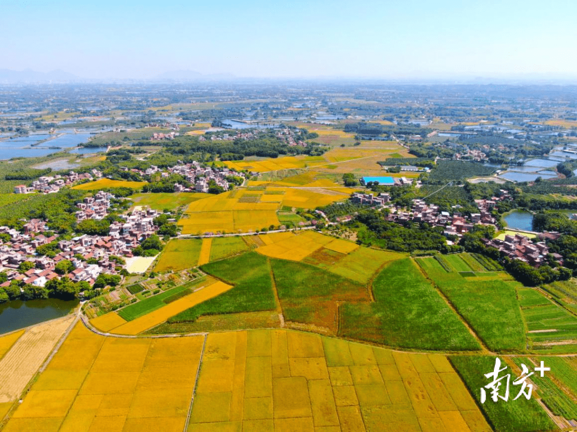 立足全国农业产业强镇定位,清新山塘奋力跑出"百千万工程"加速度_种植