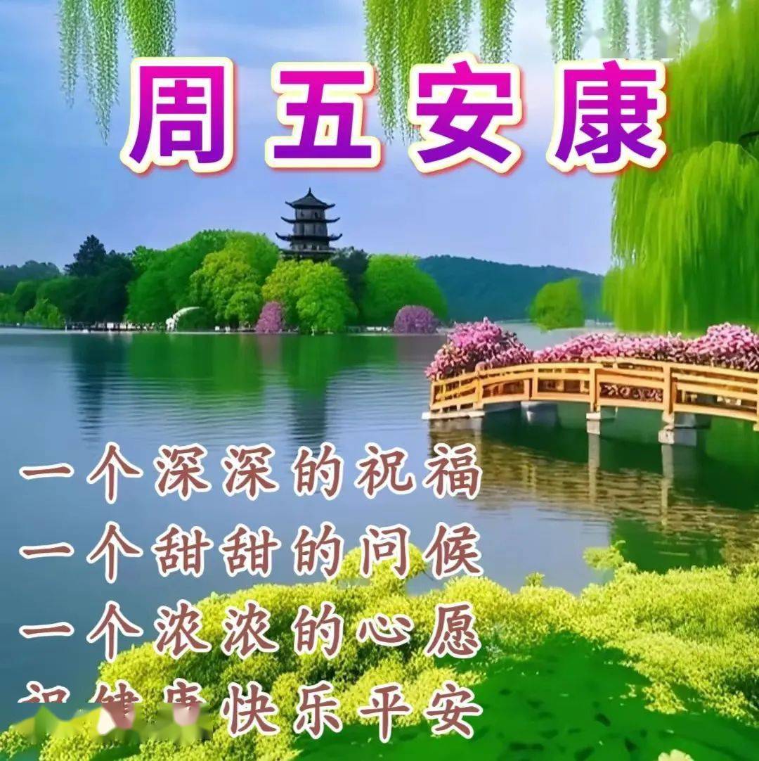 今日最新早上好表情包图片大全,简单问候,愿你健康,平安,幸福,快乐!