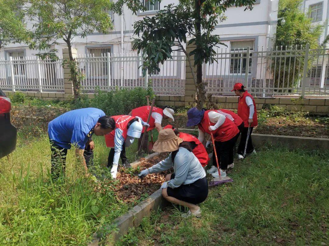 【巩文巩卫】尧顺社区清理私家小菜园 美化大环境_整治_绿化_进行