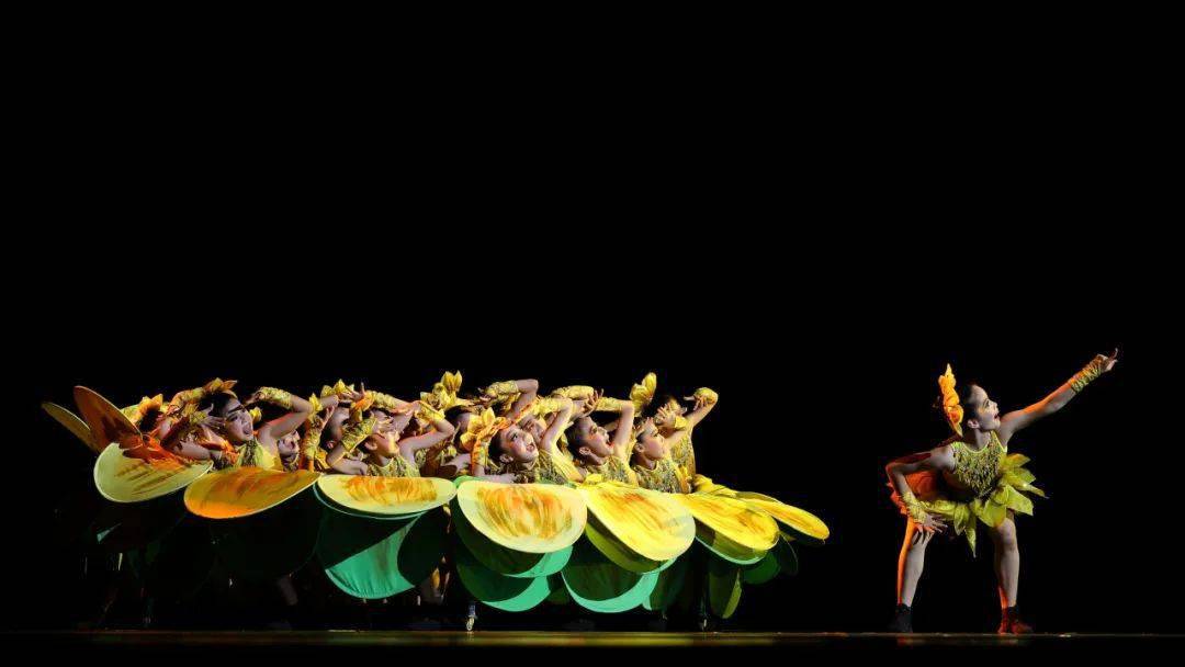 侯瑾演出单位:中国石化茂名石化公司舞蹈协会《追太阳》指导老师:王涛