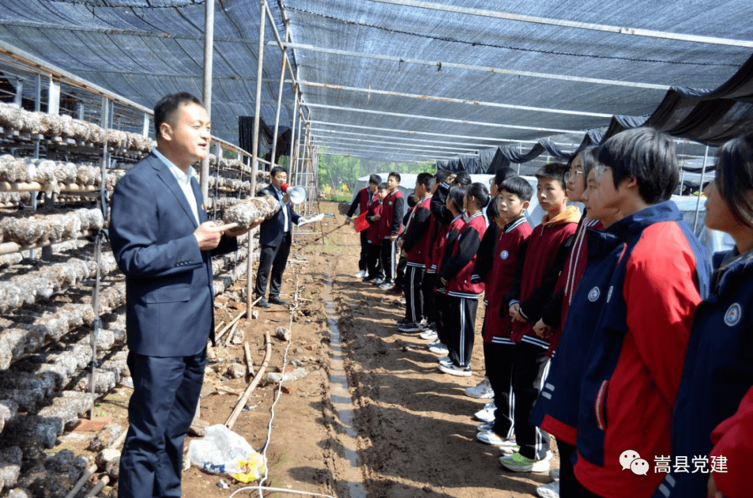 "党员三问"我来答 群众增收我助力 | 李靖宜_嵩县_车村_活动