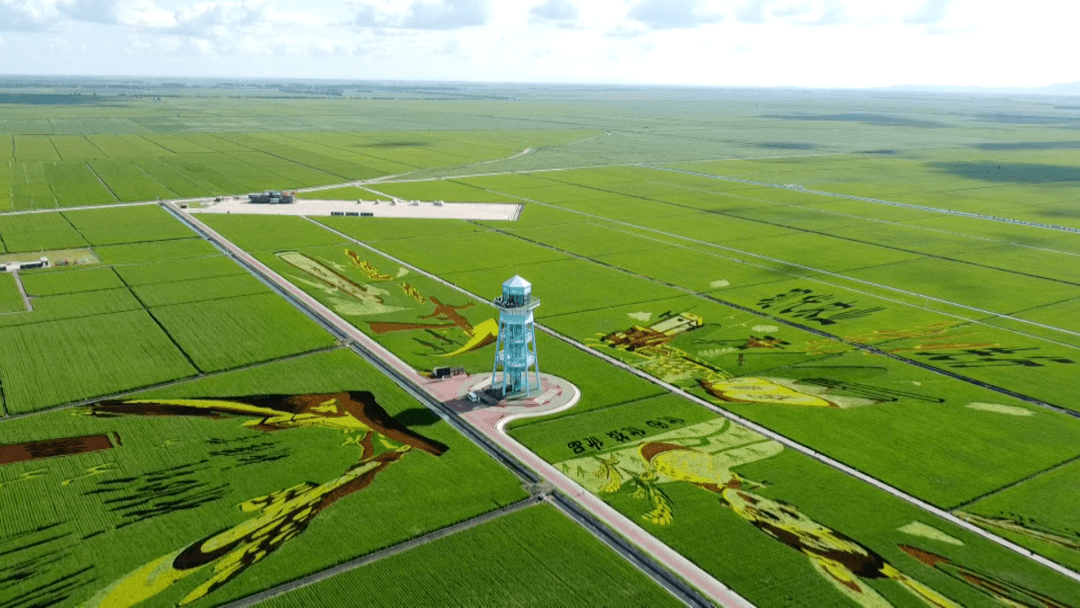田园综合体,被评为国家aaaa级旅游景区,共分为农业研学区,稻田艺术区