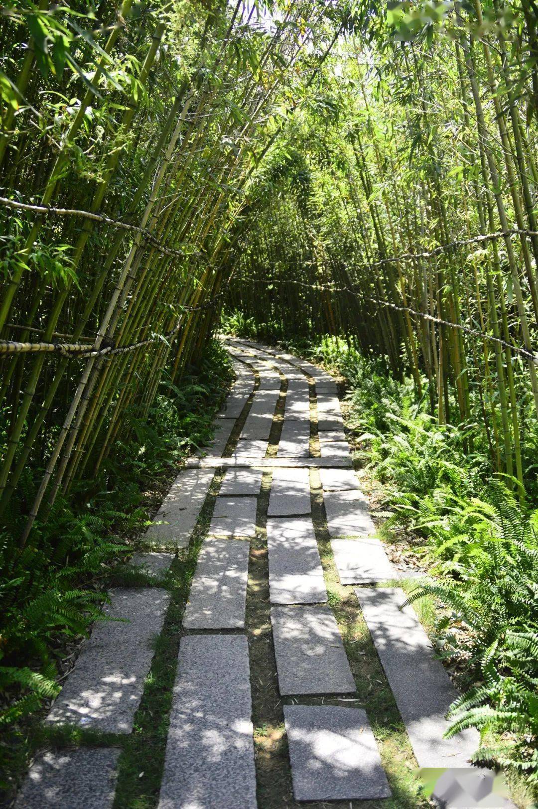 许谋清|青阳山,一座小山的传奇._大海_千年_家庙