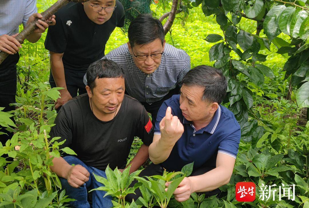 跨越江海为爱同行 南通爱心人士奔赴云南助力乡村振兴