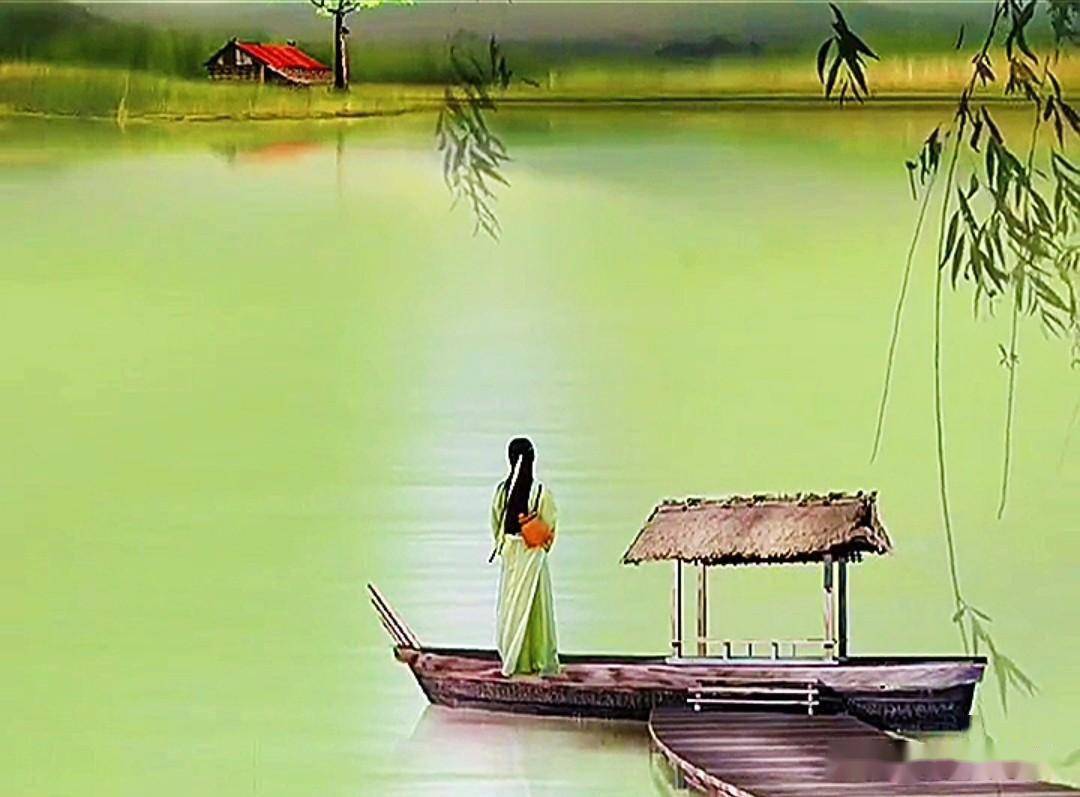 嘉宾:王惠维,王十二._梅苗_浙江_水杉