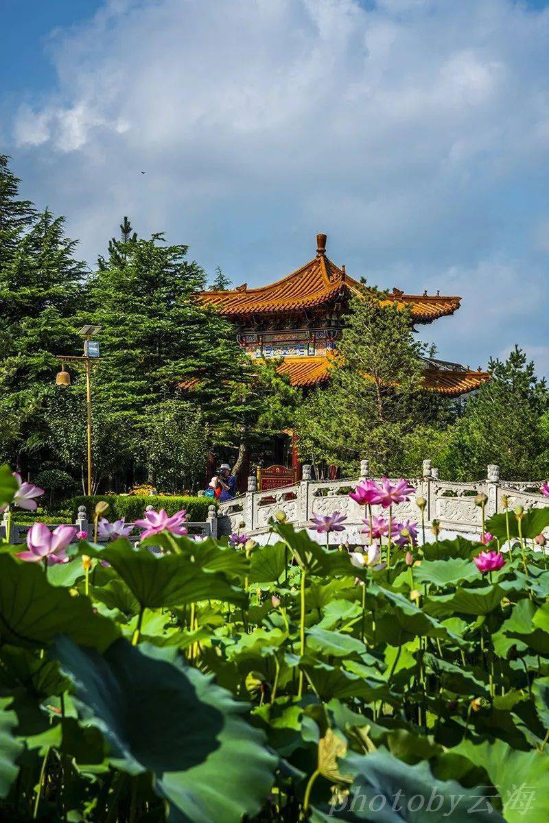 【漫行潍坊】金泉寺,金宝佛教文化园_摩尼_殿堂_公元