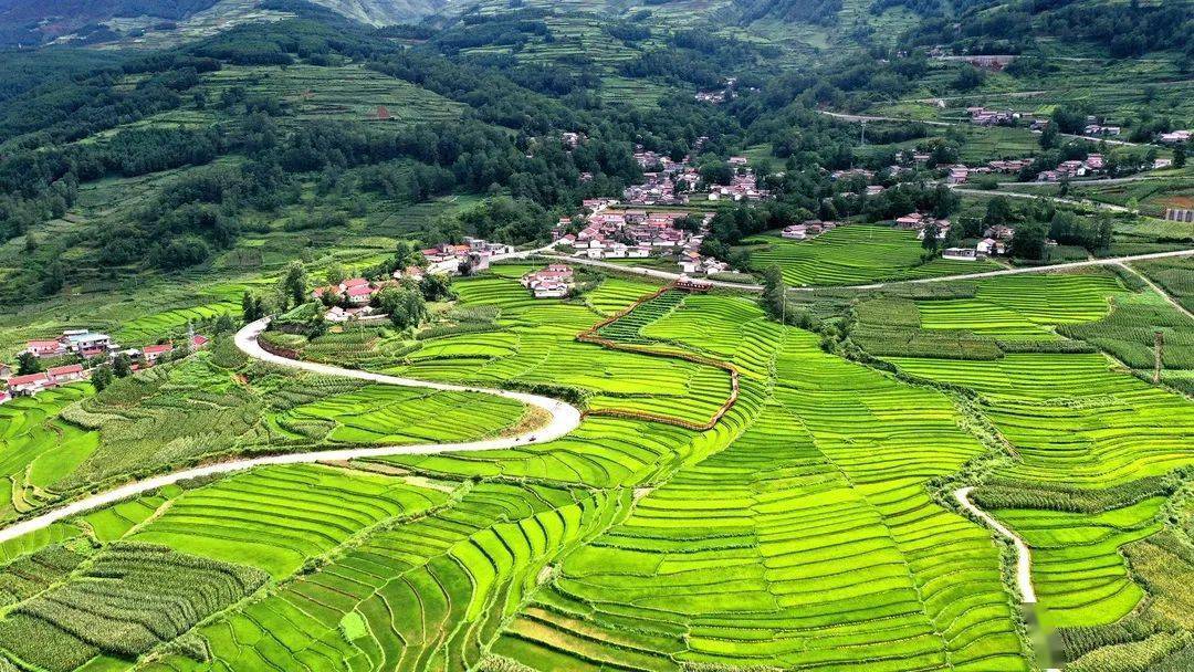 清凉火把季·20℃游越西 | 越西县普雄梯田:大自然的绿色颜料盘_视频