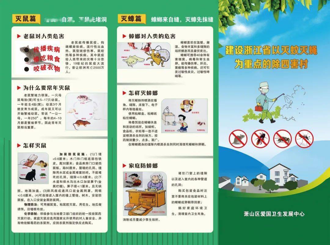 —楼塔镇组织开展病媒生物防制系列活动