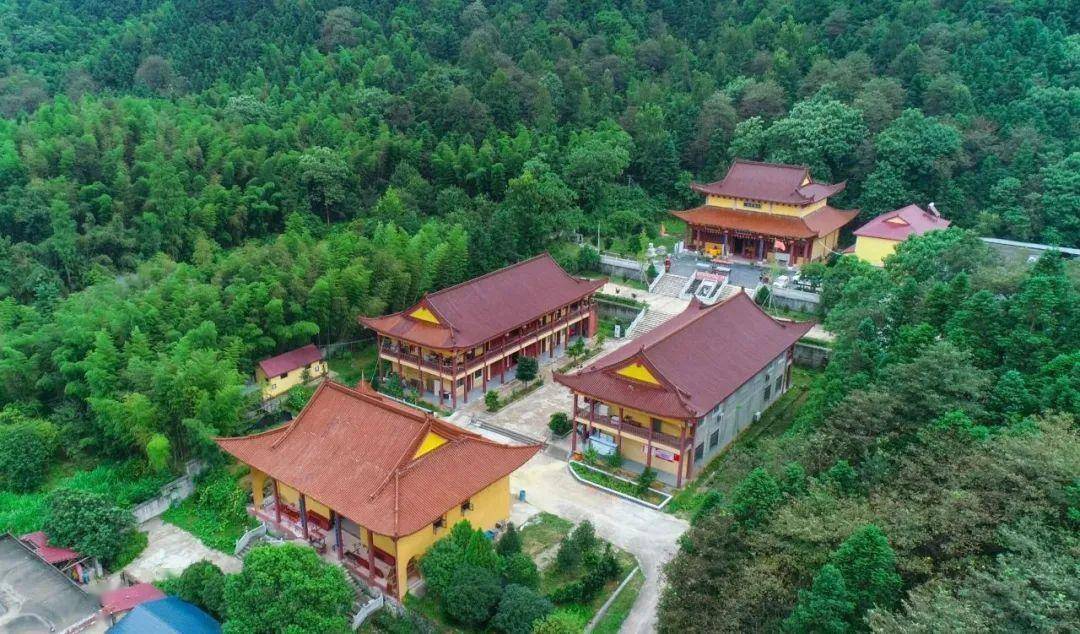 【上饶天下show之德兴市】凤凰湖:漫步"城市后花园"趣玩一夏_江西