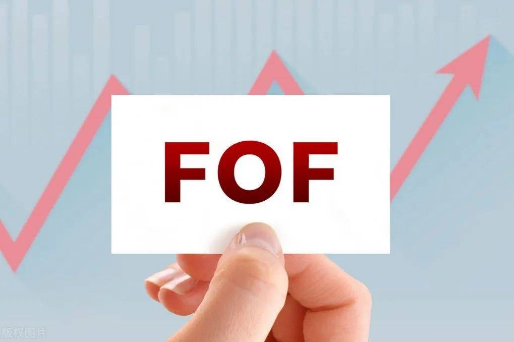 发展口号喊得震天响,基民却用脚投票!FOF基金市场面临严峻考验_养老_风云_市值