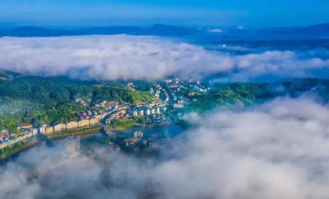 优质水果登陆上海～_建宁_合作_滋味