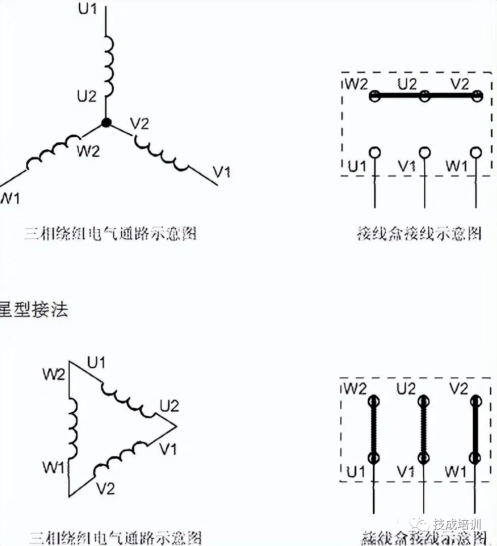 电机转子接线图图片