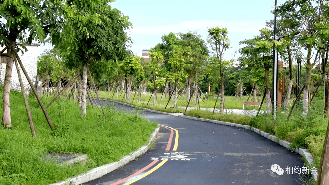 亲水广场,彩虹桥……江门这个新晋"网红"公园,你打卡了吗?