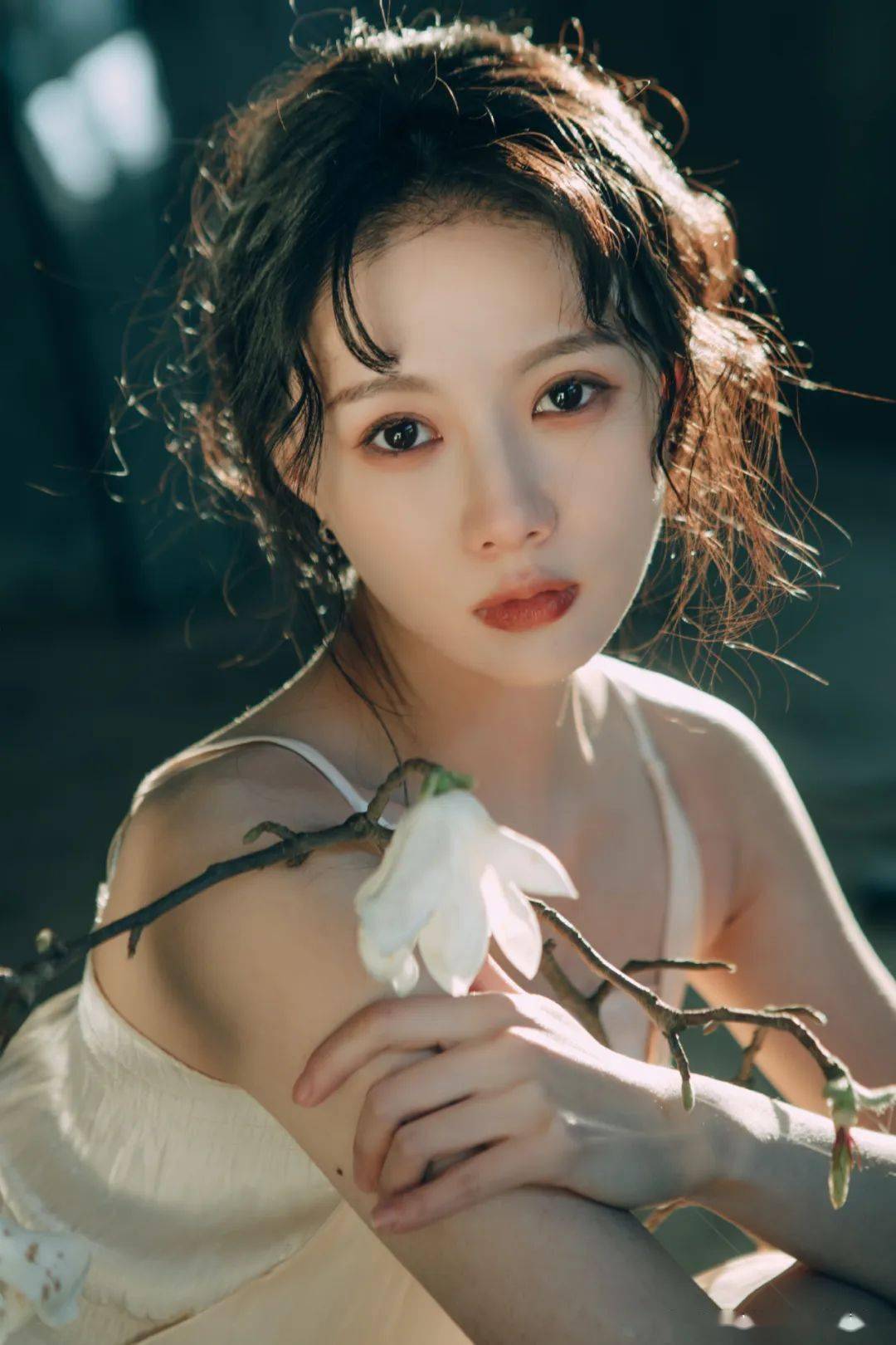 生活志丨八月花事_august_花园_张茜