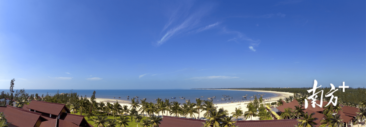 沙滩音乐节背后,茂名滨海新区黄金海岸带如何示范引领?