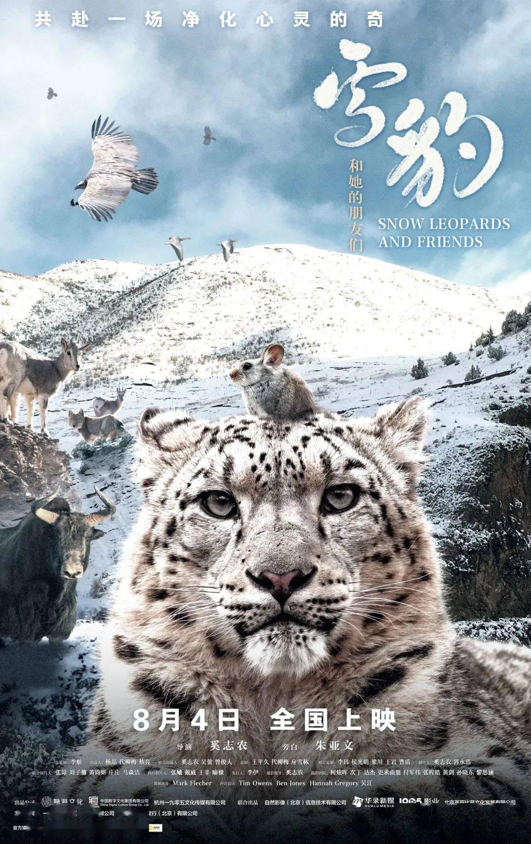 专访| 奚志农:我的唯一目的,是让更多人爱上中国的野生动物_雪豹_影片