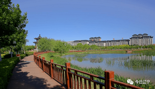 ​ 花香沁脾的牤牛河生态湿地公园