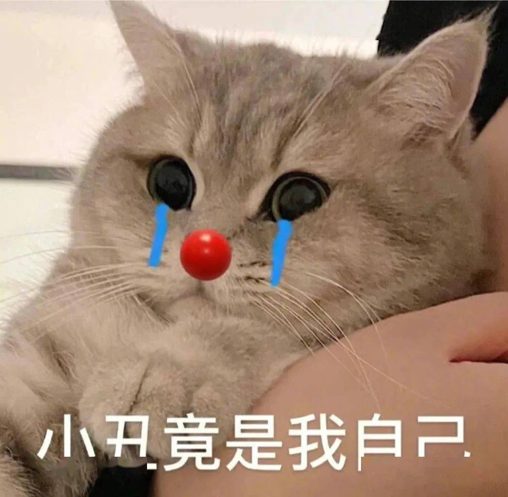 聊天实用表情包:小丑竟是我自己_生活_公众_因为