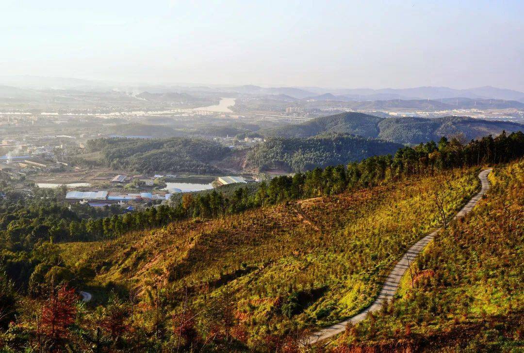 01暂无途经公交,建议自驾前往,可开车直达山顶90免费黄岗山|韶关