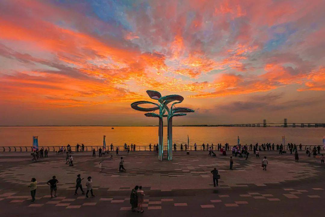 泰州网站建设特点_泰州网站建站_泰州网站建设开发