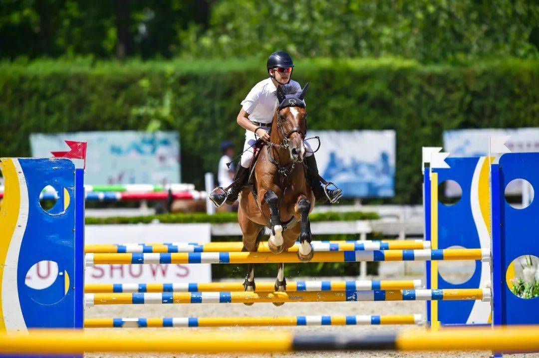 战报| 2023超级马术俱乐部联赛(北京天星调良马术第7站)成绩公示_马匹