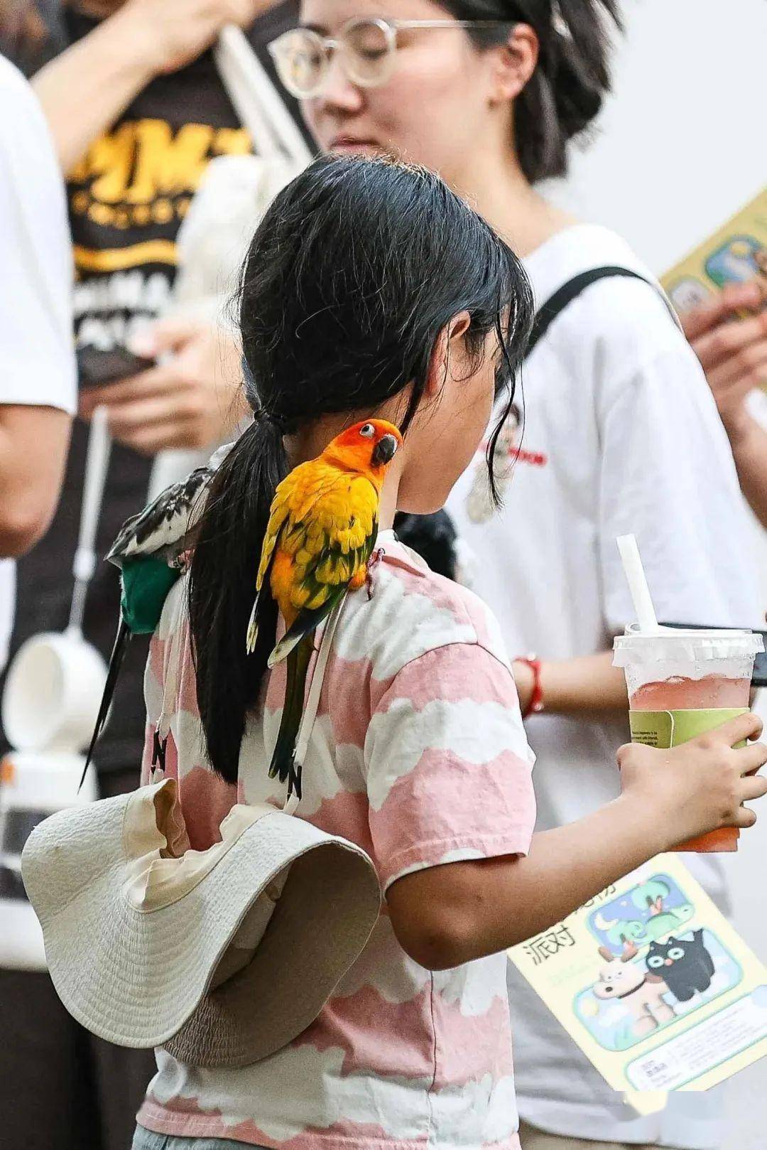 街拍黄浦丨在城市的转角,异宠访客神秘登_宠物_蔡维帅_个性