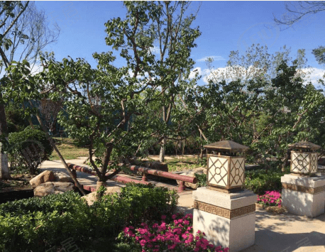 天津津南津门熙湖 价格来袭 约8500元/㎡_小站镇_楼盘_项目