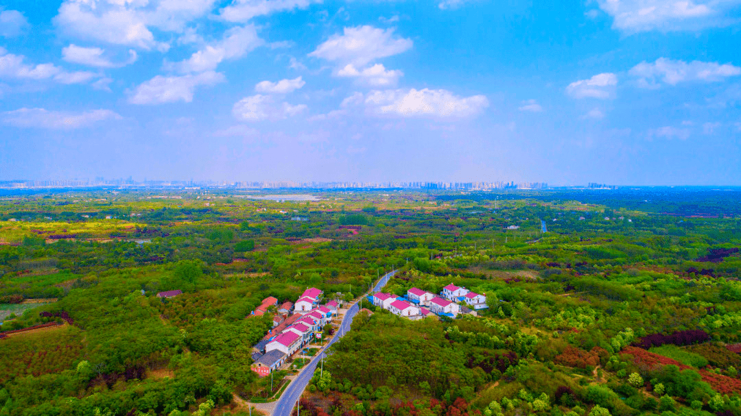 肥西这些地方被央媒省媒聚焦_紫蓬镇_发展_融合