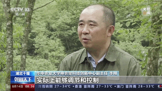 刚刚,央视点名十堰!时长9分半_黑熊_河源_动物