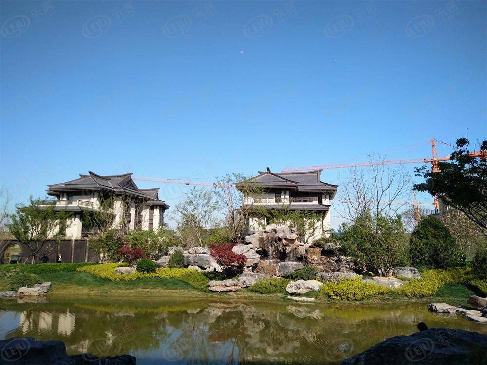 齐河县齐河新城玺樾 价格出来啦 约10500元/㎡_楼盘_户型_欧乐堡