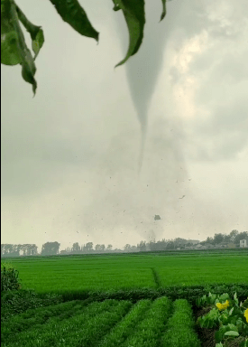 突发龙卷风!已致2死15伤!