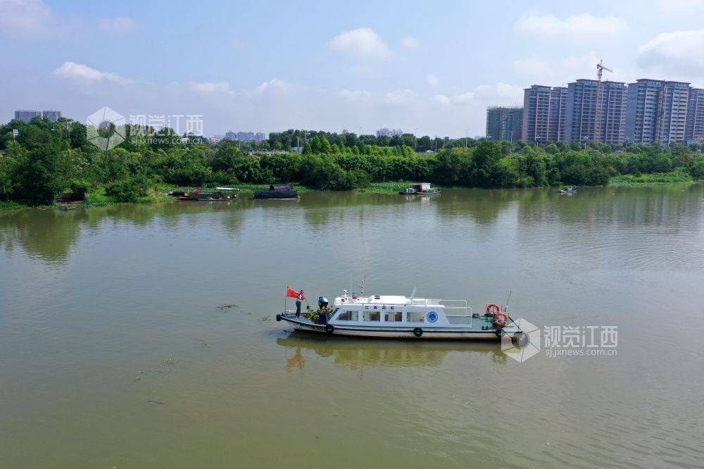 江西泰和:清江護水打造綠色航道_贛南_生態_水葫蘆