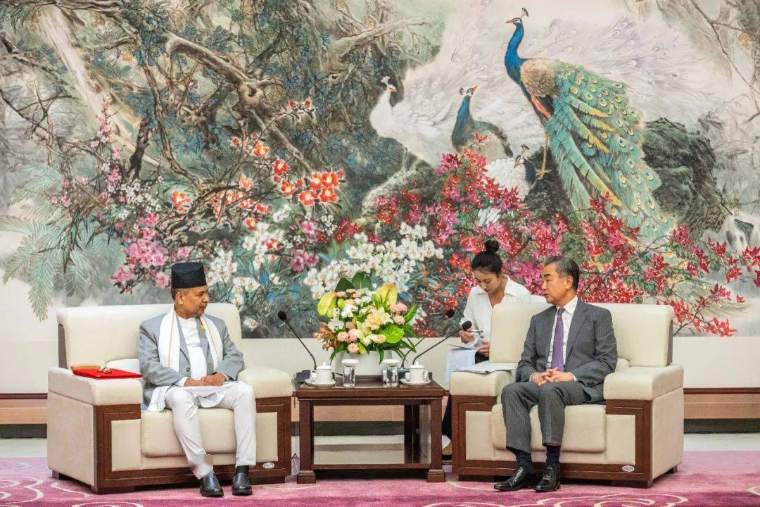 王毅会见尼泊尔副总统亚达夫_中国_发展_合作