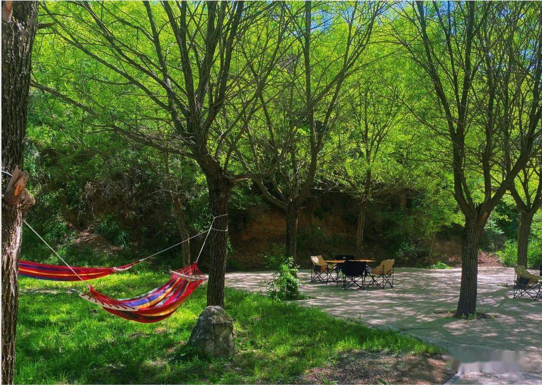 来泾源游老龙潭,胭脂峡景区享雅豪度假酒店,民宿入住优惠