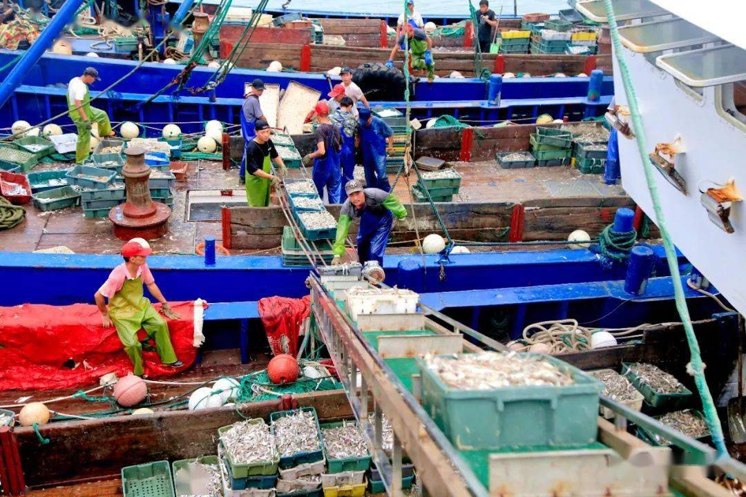 鱼满仓!开"鲜"啦~