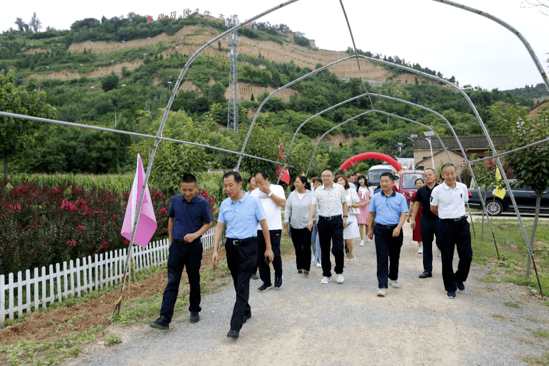 千阳县开展"赏咏紫薇花,走笔新草碧"采风宣讲活动_草碧镇_黄胄_建设