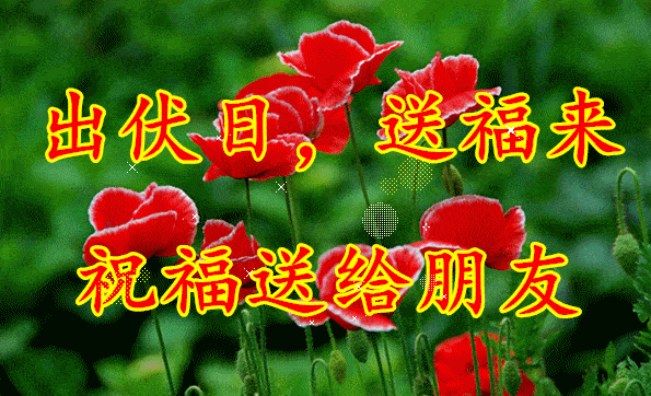 今日出伏,送你最美的祝福!_朋友_关怀_事事