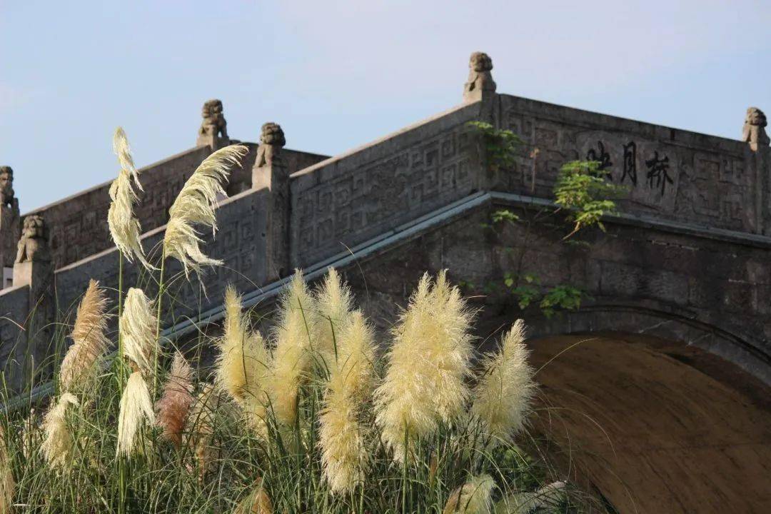 【图说·绍兴】夏日的梅山公园_摄影_古越_夏色