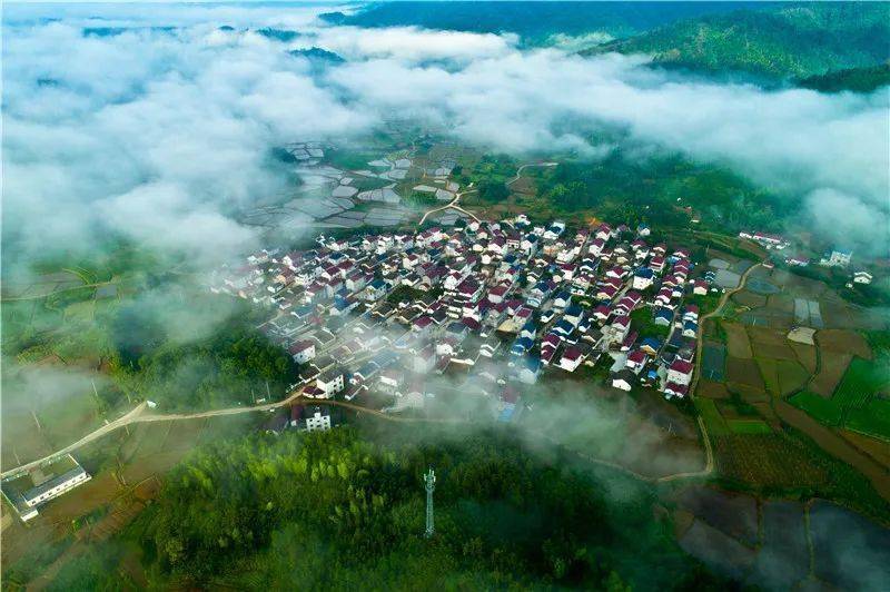 "美翻了,我的村" | 池州市东至县泥溪镇元潘村:美丽田园 幸福乡村