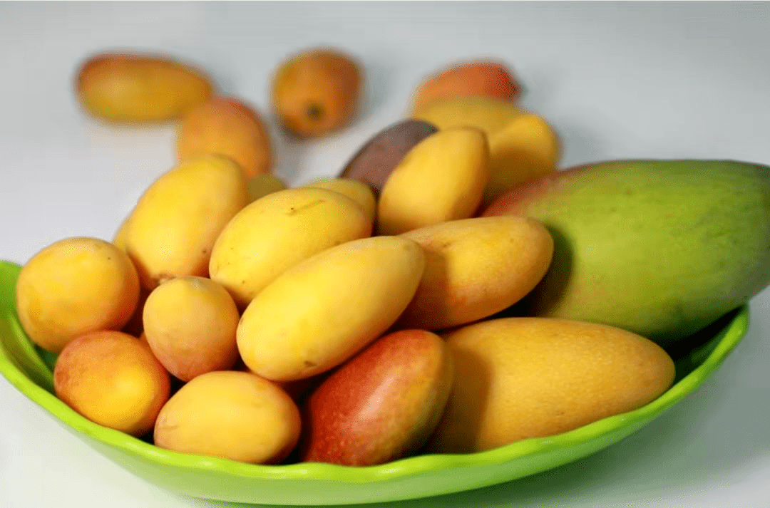 攀枝花芒果种类繁多,包括凯特,贵妃,椰香,金煌,金白花等.